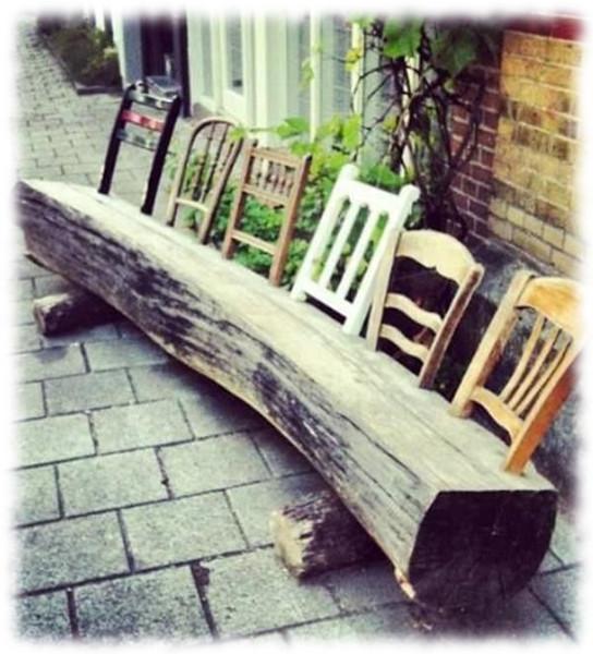 Banco de tronco y respaldo de sillas