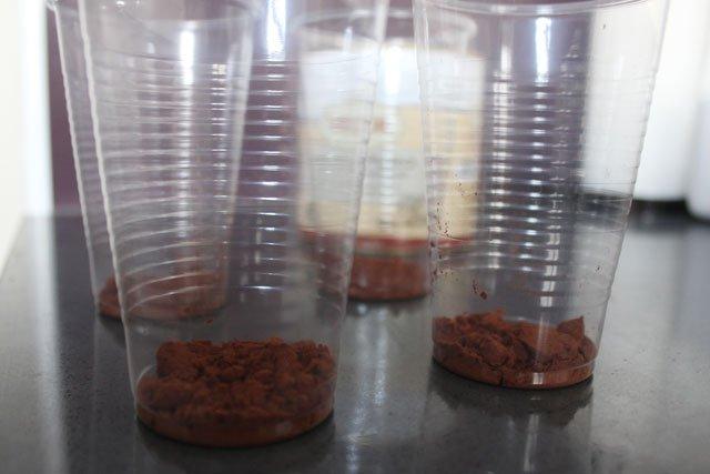 molde helado tiramisu