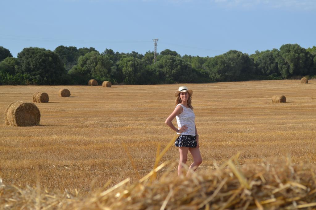  photo top5_zps184e48e4.jpg