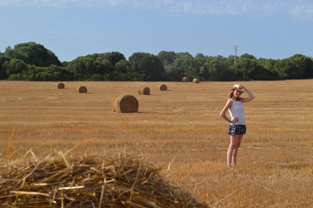  photo top4_zps5d25129b.jpg