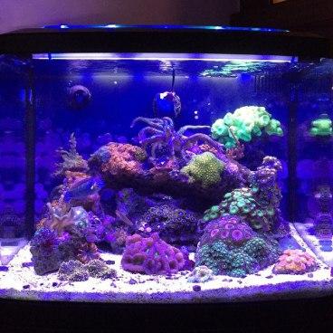 16113809379_d7ea87217e_z