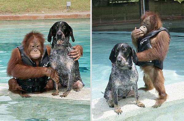 de46e68d23139f7921c302f3437baef5