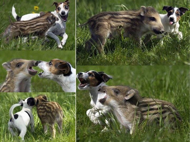 37b51dd242e17b7d2bb2a8f623f730bf