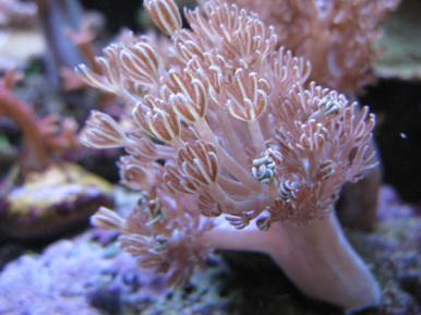 xenia_10_zps128c2ade