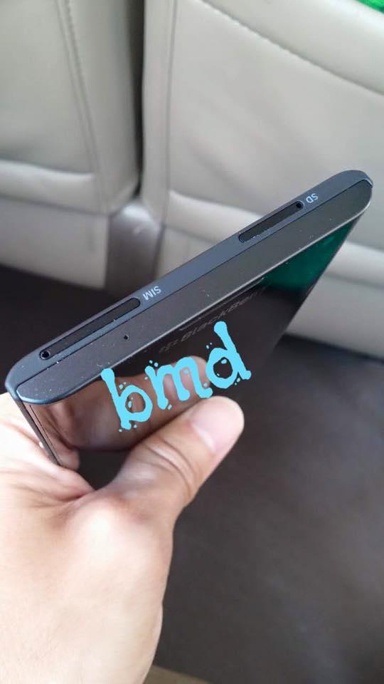 11947564_504219346402745_4124199931205022505_n