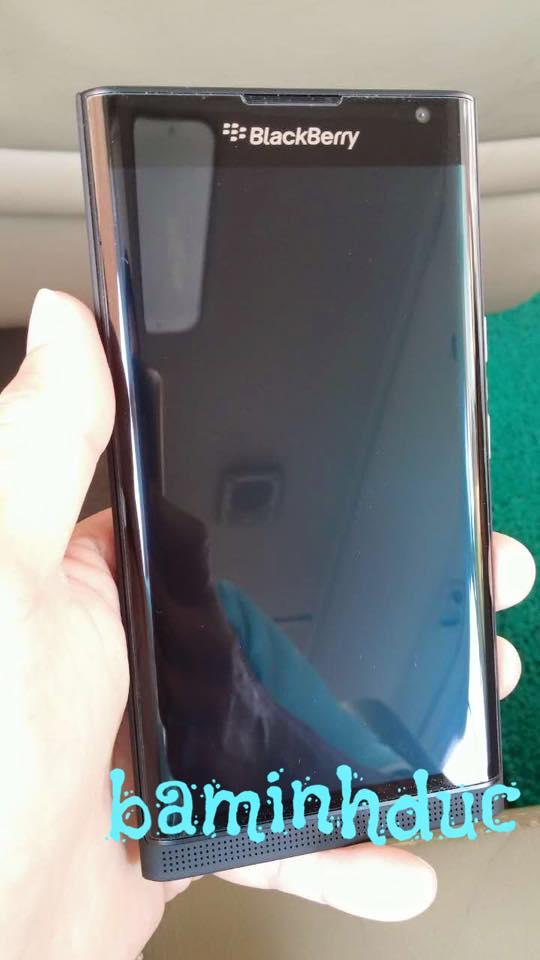 11938079_504219359736077_594257299998152656_n