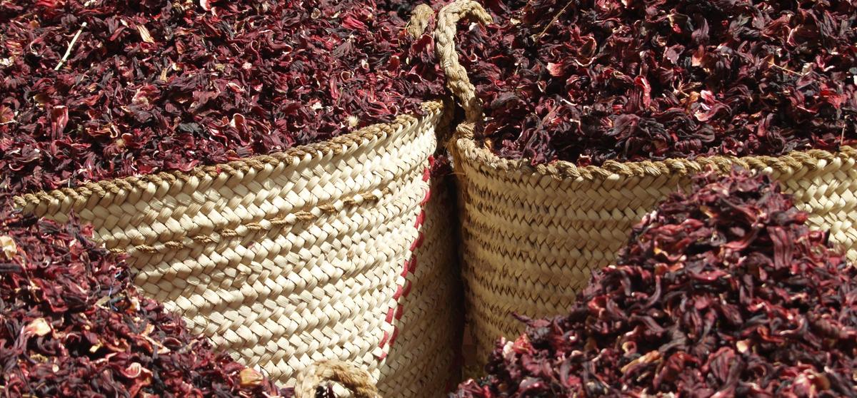 preparar un gin tonic