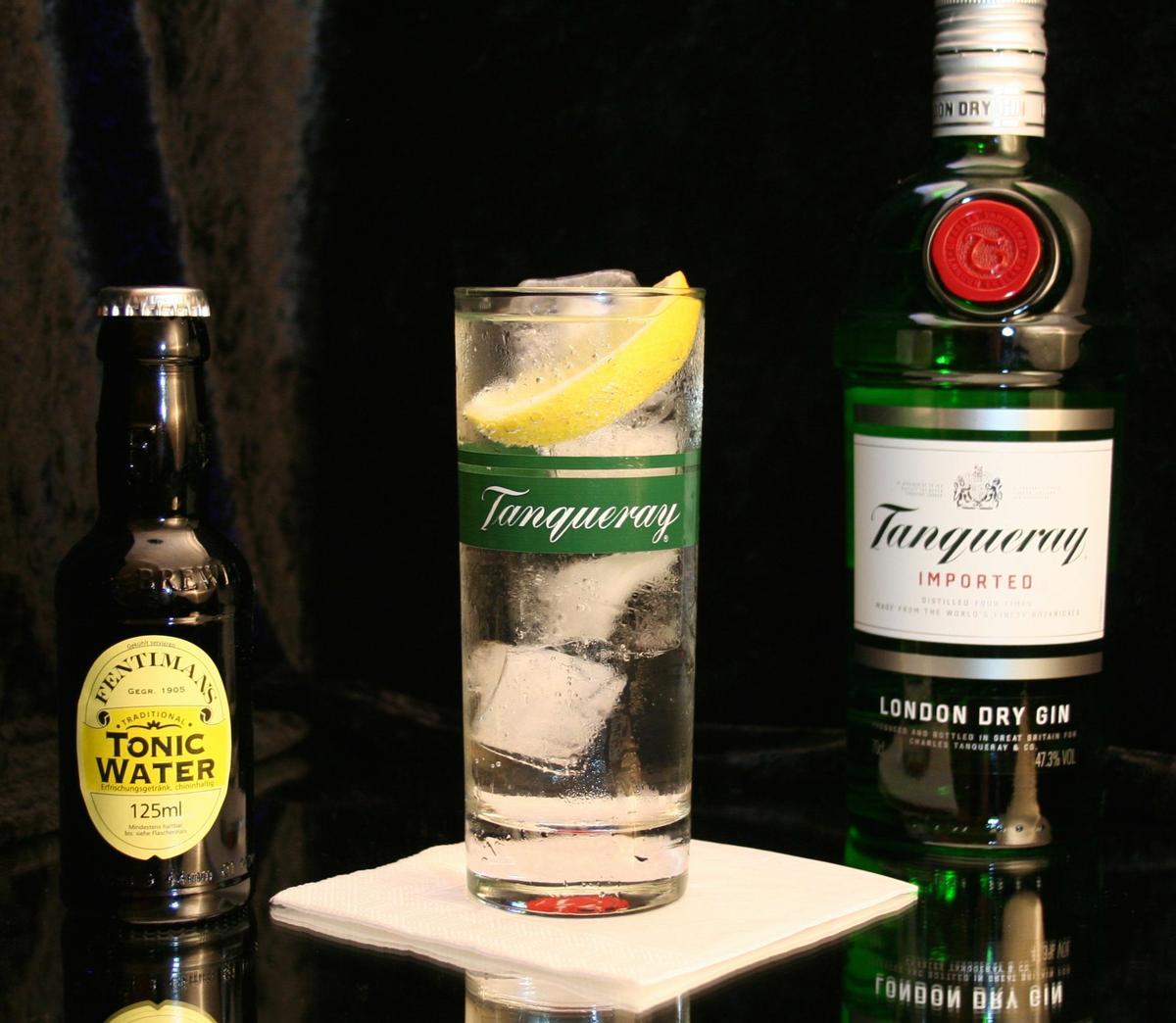 preparar un gin tonic