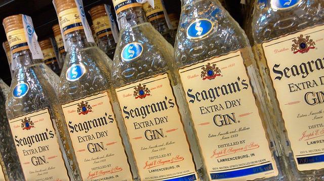 preparar un gin tonic