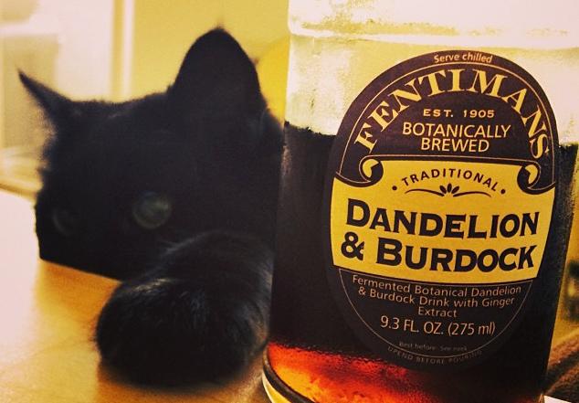 preparar un gin tonic