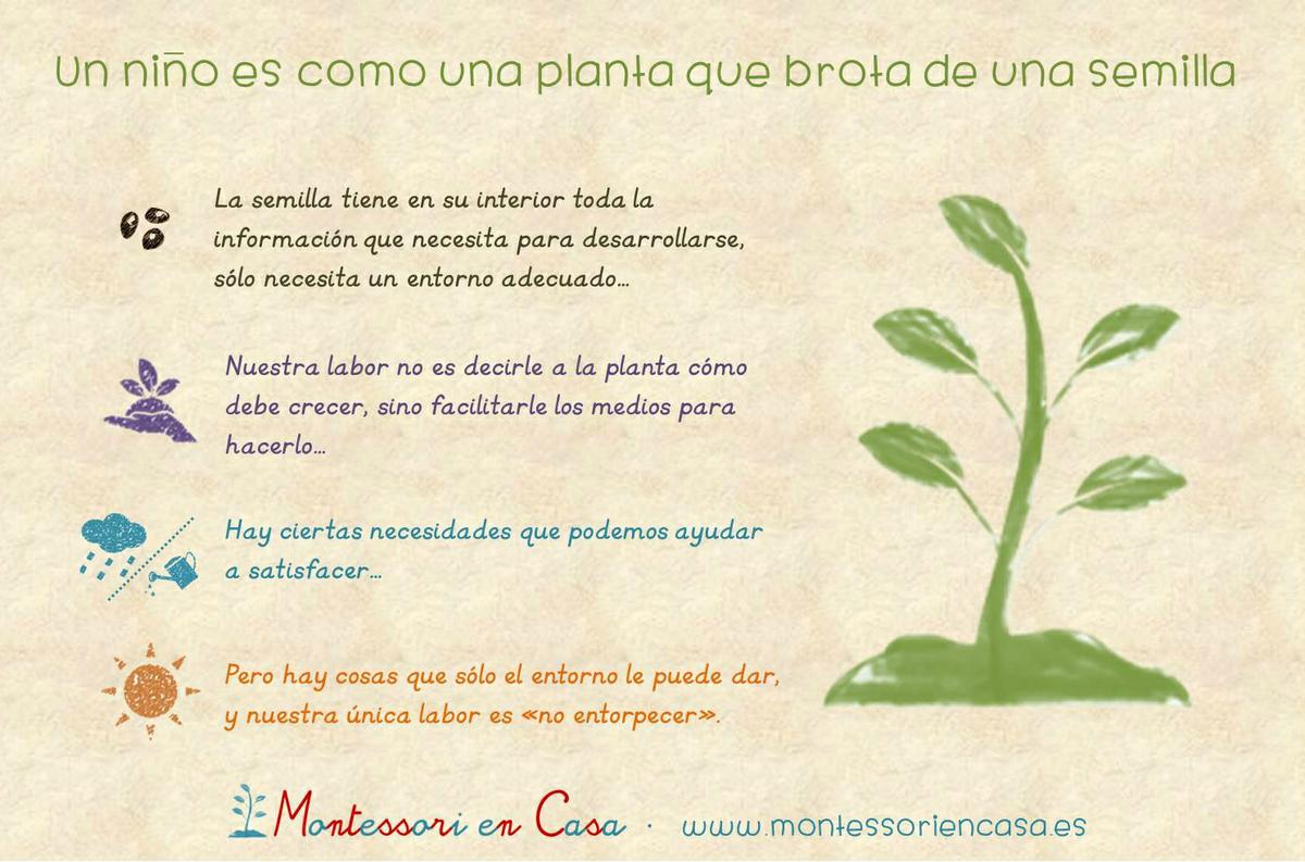 Niño planta Montessori