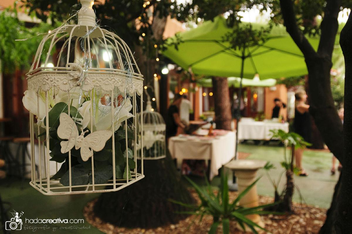 Cena Reino de Oz 001