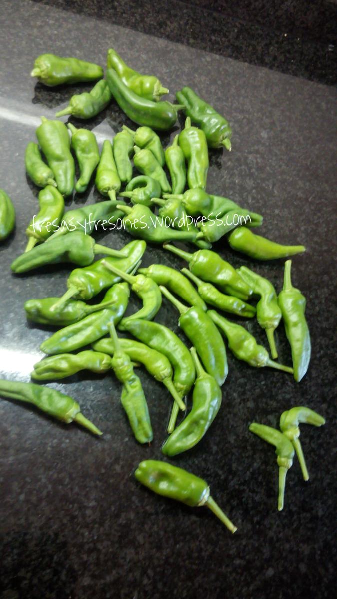 PicsArt_1440663114969