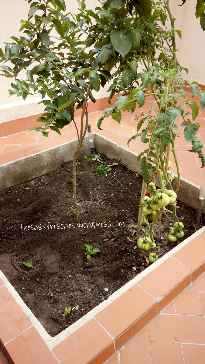 PicsArt_1440663740316