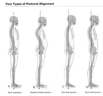 Postura en equilibrio