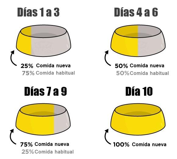 img-dog_food_transition