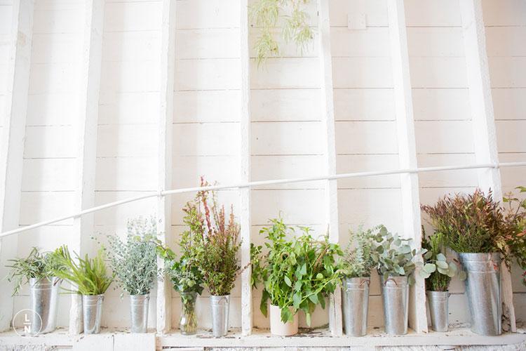 HOMELIFESTYLE-MAGAZINE-AMPERSAND-SAN-FRANCISCO-GREEN