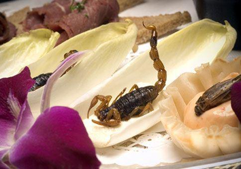 f59155b198e90bd7ec8fa6681f8410c3