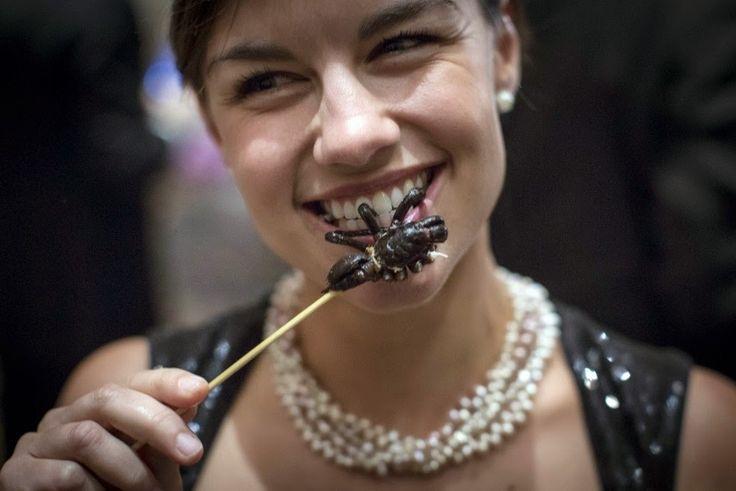 4780ff772d4e6cd23eb021299f4ef34a