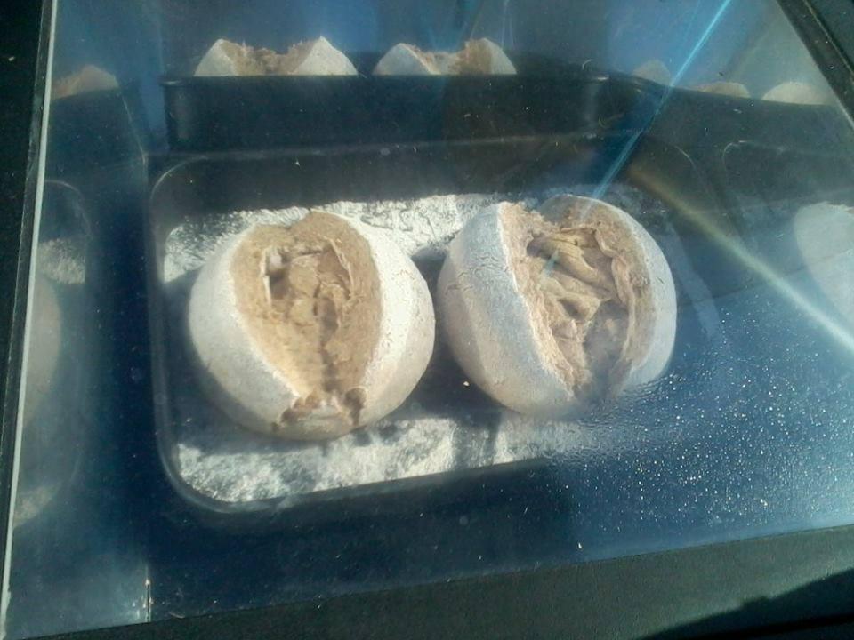 Pan horneado por el sol, no hay nada mas rico.