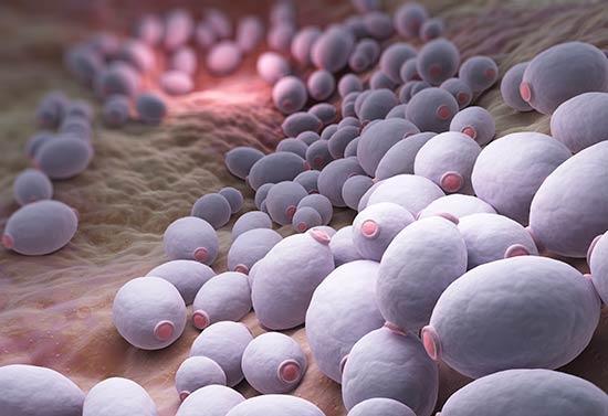 Síndrome de Intestino Irritable