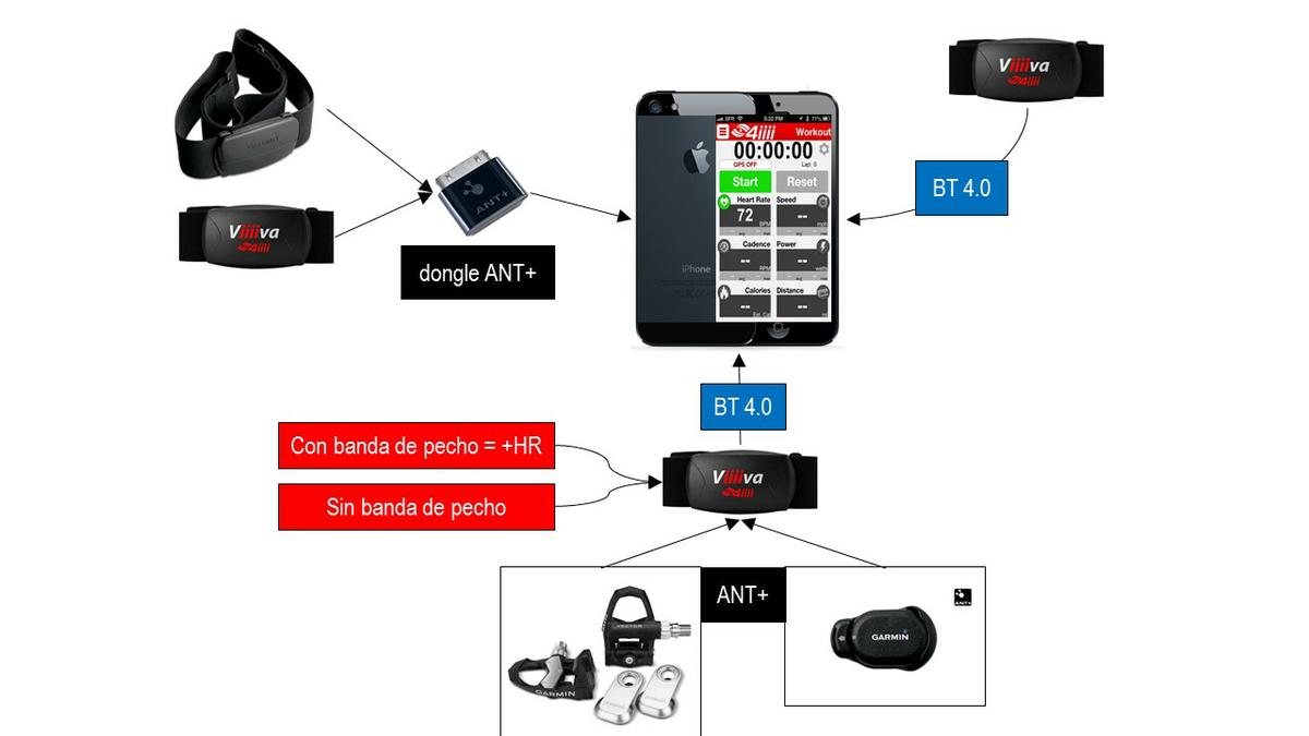 PLANETA BCN zitaSport 9