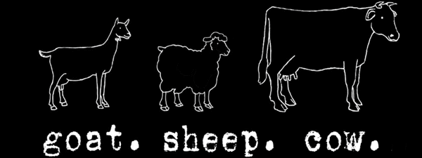 proteína de leche de vaca