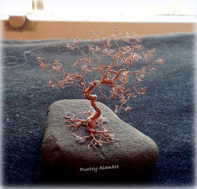 11947866_10205473744578843_440748301796938504_o