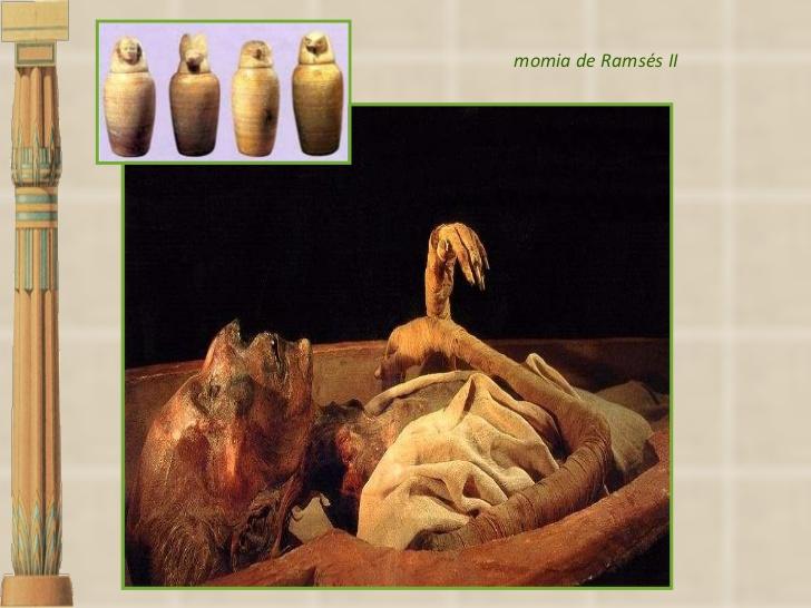 momia4