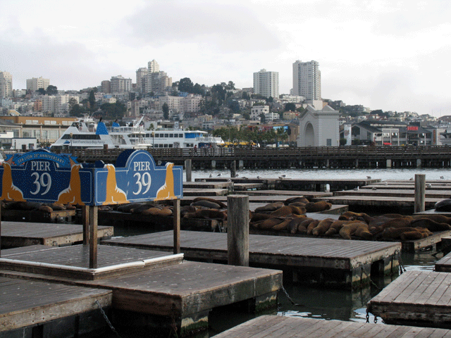 pier39_2