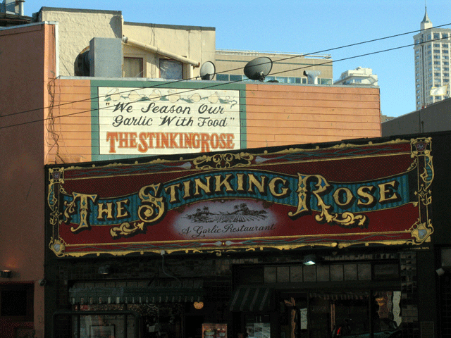 little italy san francisco
