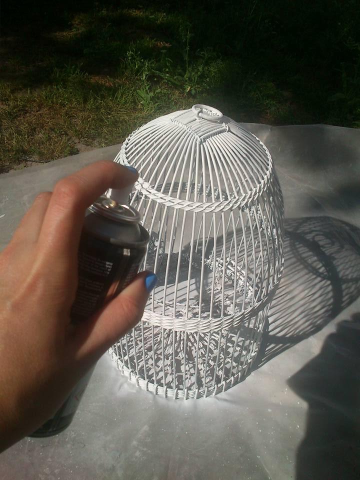 12004764_10207506077912021_2404568293259028659_n