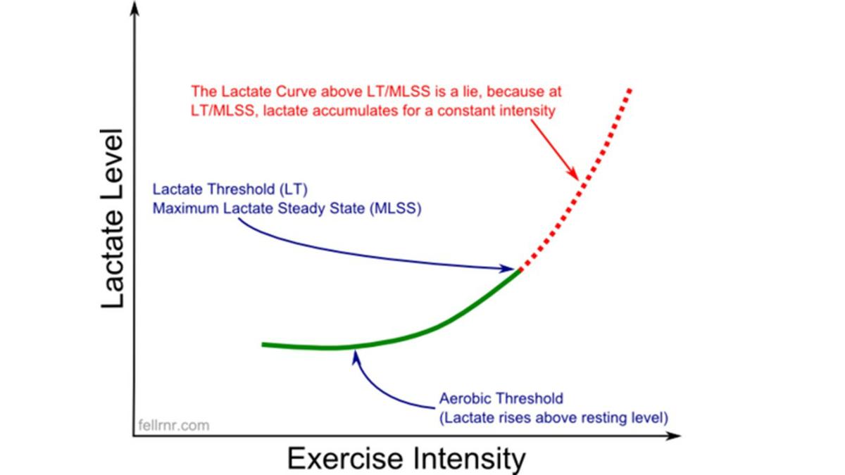 BSX Insight + MOXY 6