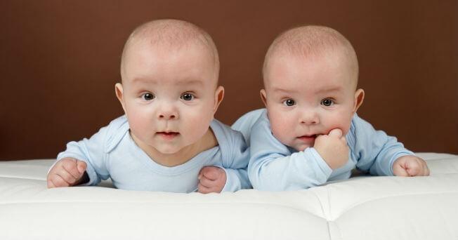 gemelos. embarazo múltiple