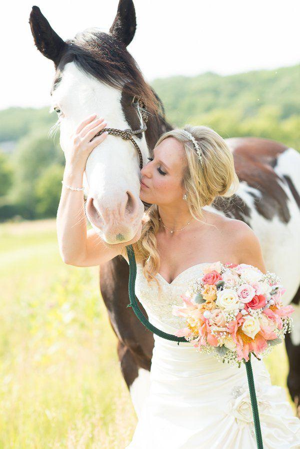 mascotas, perros, gatos, caballos, boda, ceremonia, pre boda, fotos, pets, weddings, dogs, cats, photo, bridal, bulldog, yorkshire, horse