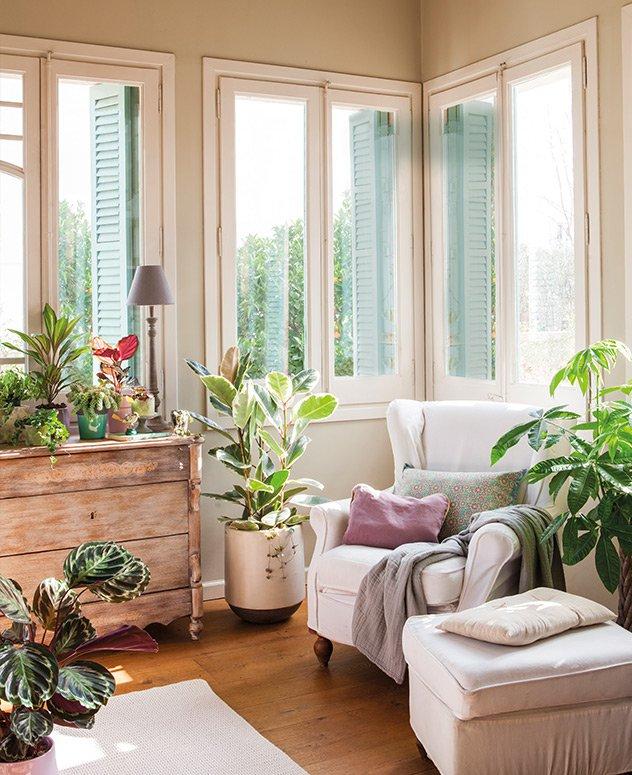 decoracion de otono westwing plantas