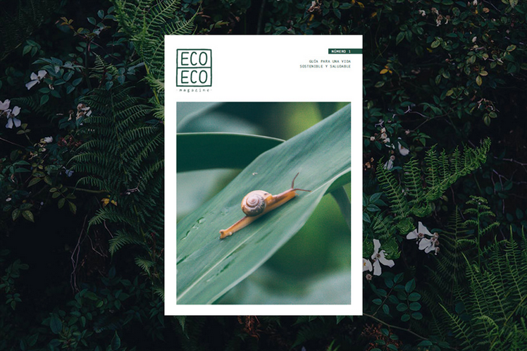 Eco Eco Magazine