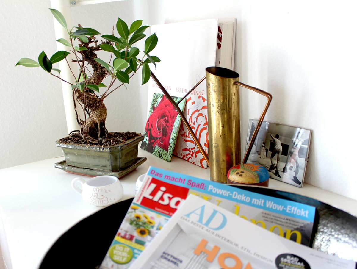 Detalles-bonsai-revistas