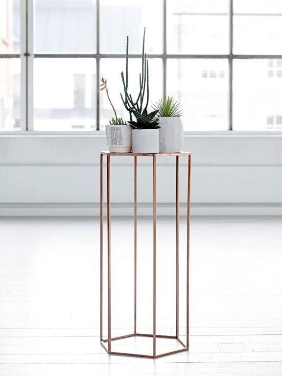 Decoración botánica - Decoración de fiestas en All Lovely Party