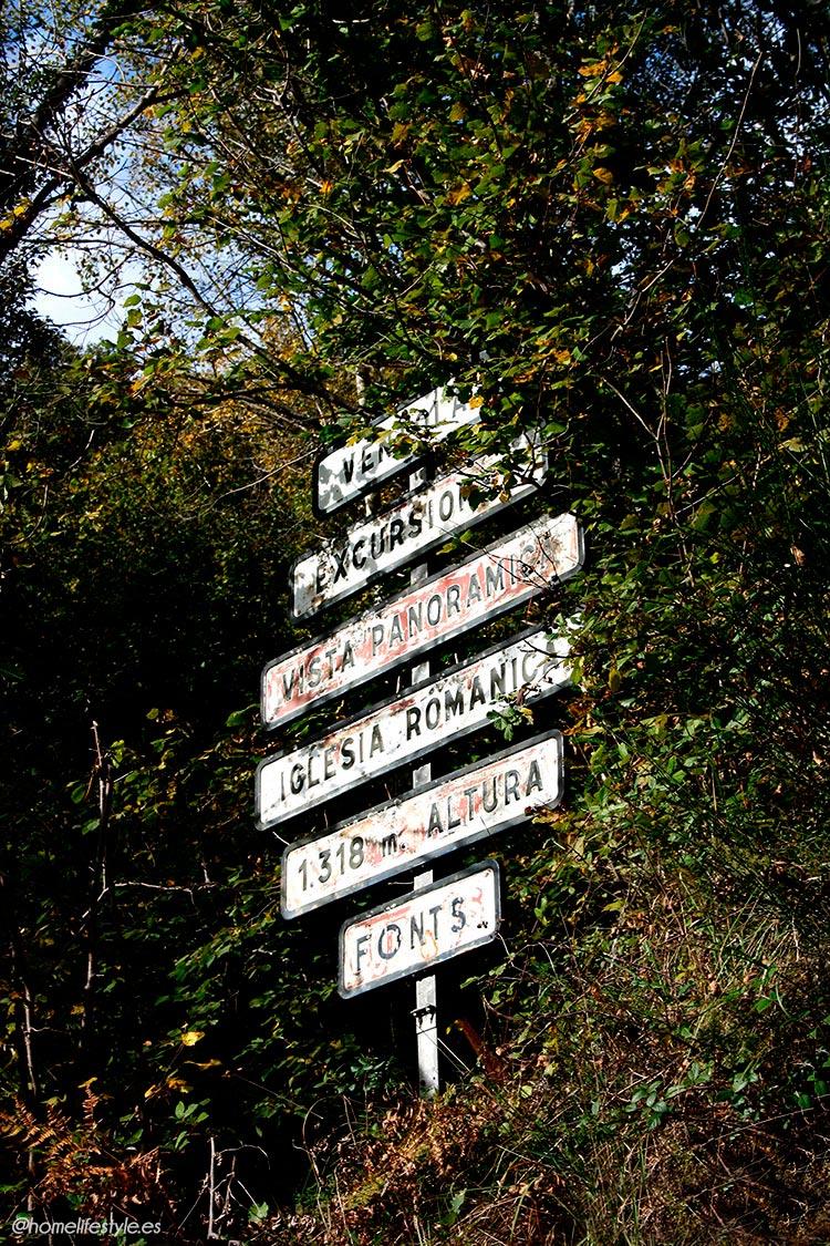 Homelifestyle-Magazine-La-Vall-de-Ribes-cazadores-de-setas-ruta