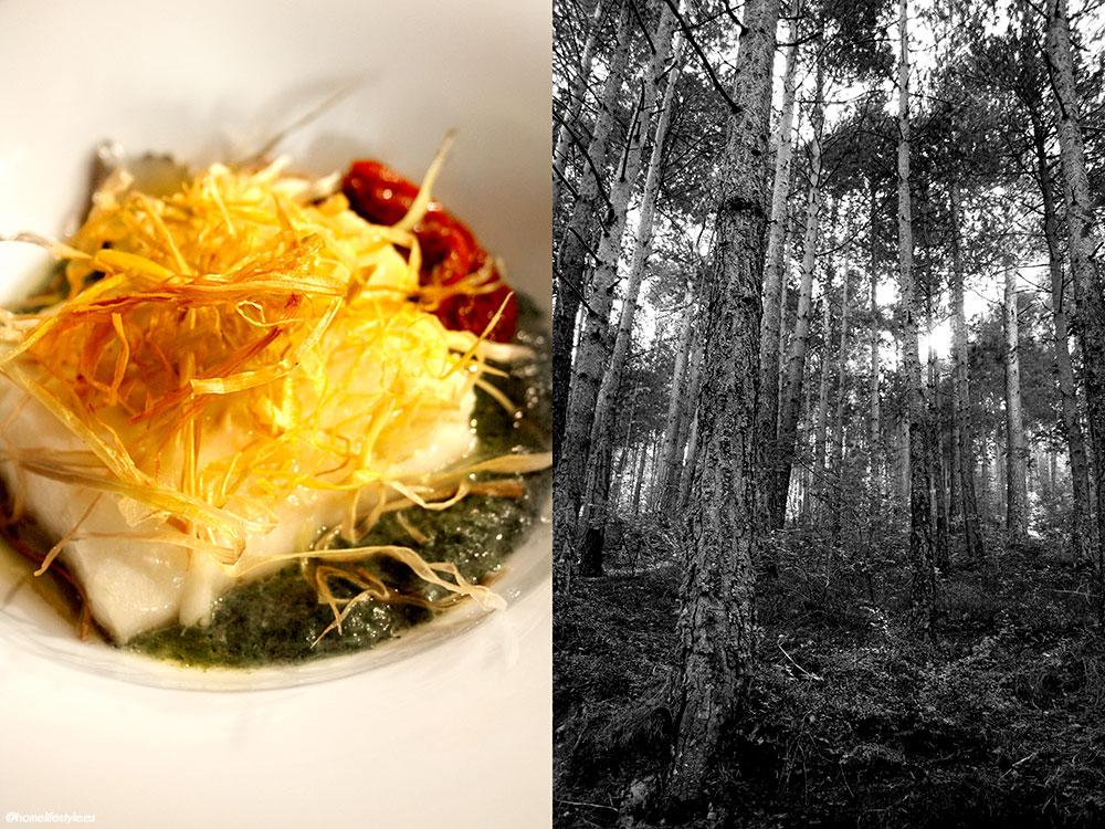 Homelifestyle-Magazine-La-Vall-de-Ribes-cazadores-de-setas-menú-resgusrd-dels-vents