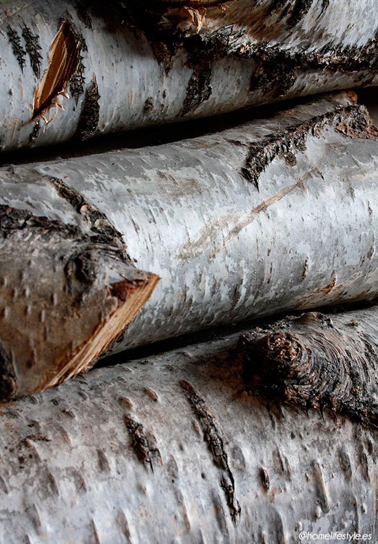 Homelifestyle-Magazine-La-Vall-de-Ribes-cazadores-de-setas-Hotel-Resguard-Dels-Vents