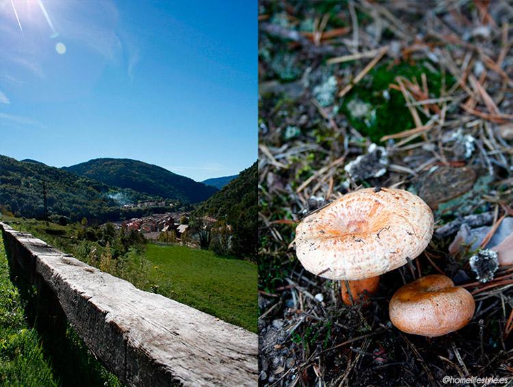 Homelifestyle-Magazine-La-Vall-de-Ribes-cazadores-de-setas-Ribes-de-Freser