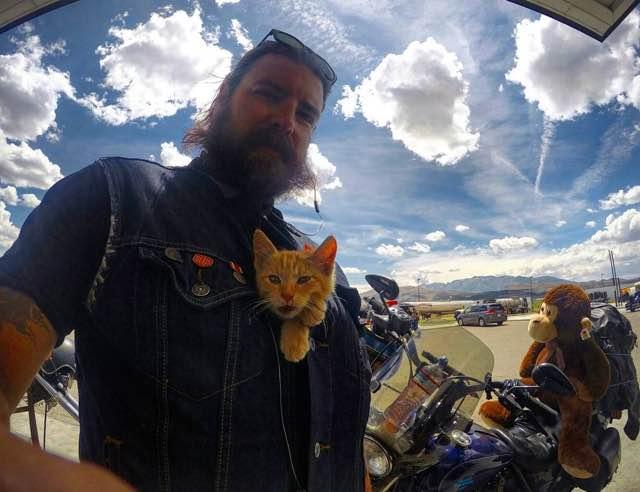 biker-party-cat1