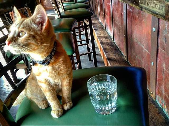 tumblr_ntncqariec1qzkdi9o1_1280