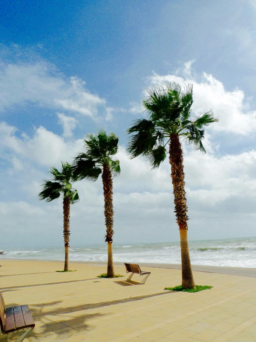 photo of the day paula casielles 2