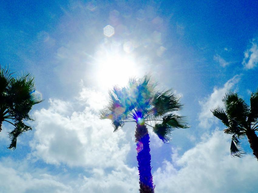 photo of the day paula casielles 3