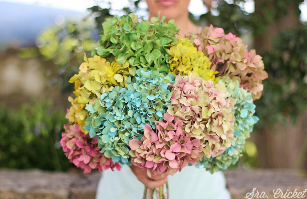 flores-de-colores-sra-cricket