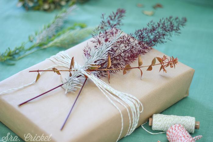 empaquetado-creativo-con-hierbas-de-colores