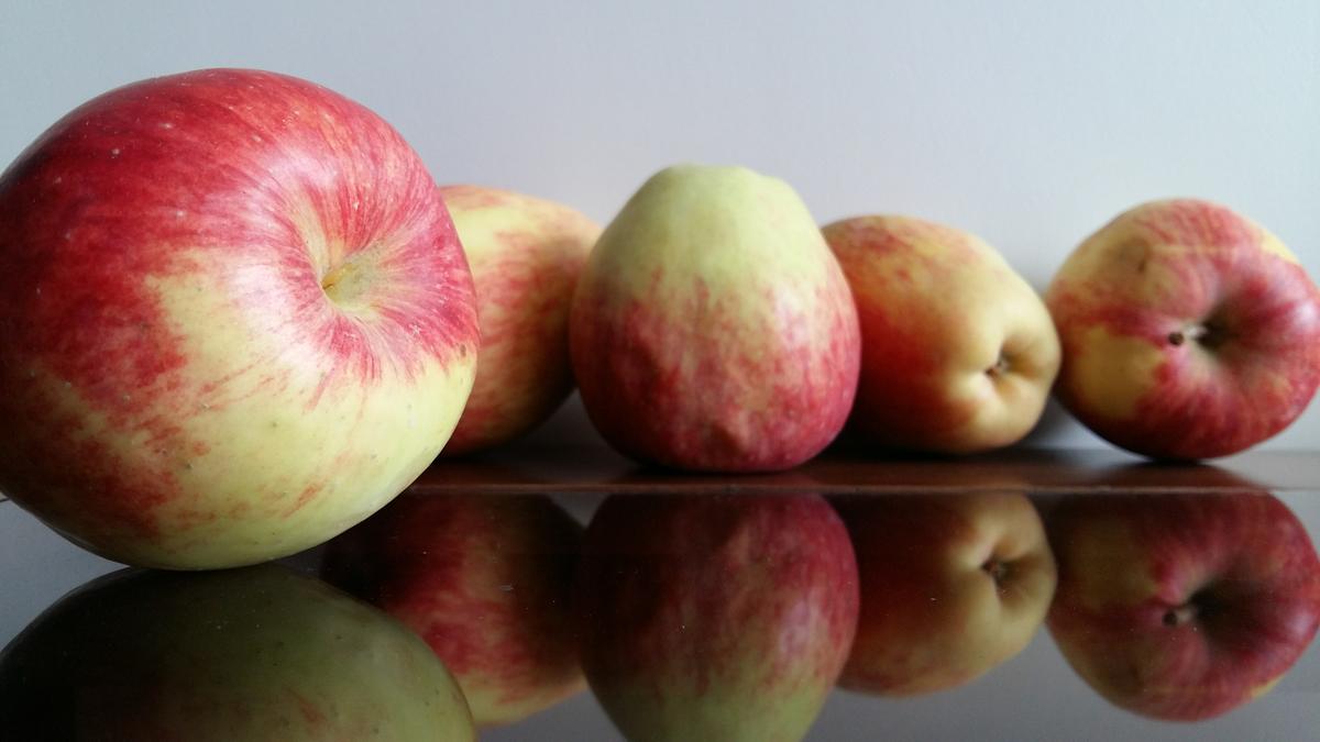 Pie de manzana_horneando Aventuras 6